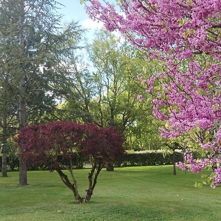 Saint-Hilaire-la-Palud Le Logis De Lange Apt Les Aigrettes מראה חיצוני תמונה