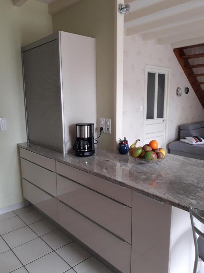 Saint-Hilaire-la-Palud Le Logis De Lange Apt Les Aigrettes מראה חיצוני תמונה