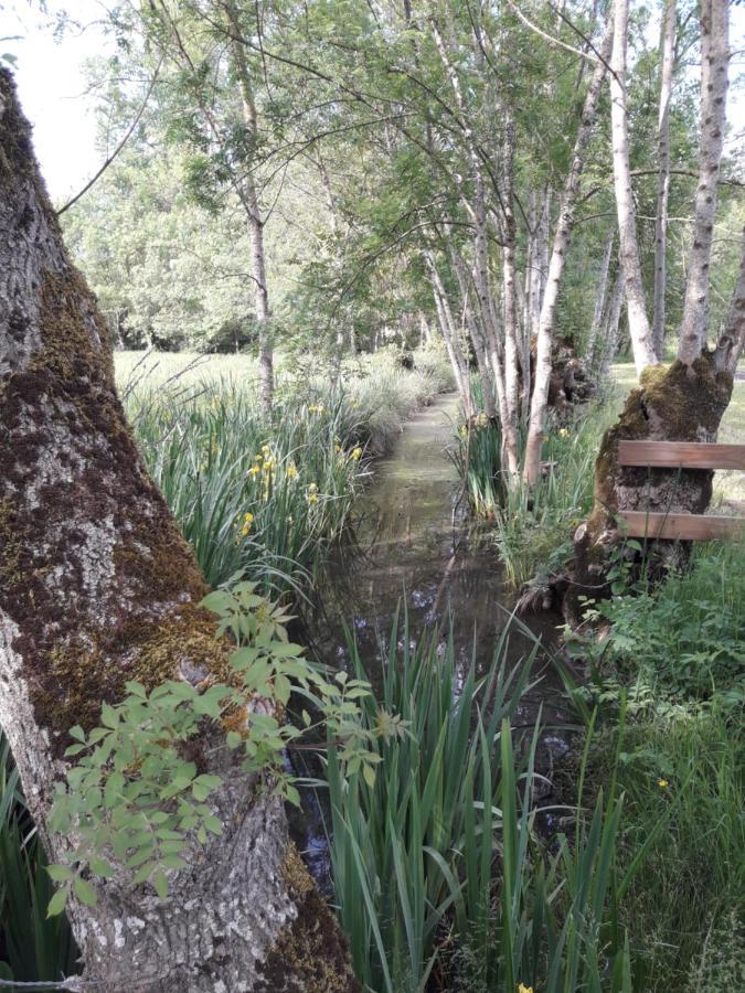 Saint-Hilaire-la-Palud Le Logis De Lange Apt Les Aigrettes מראה חיצוני תמונה