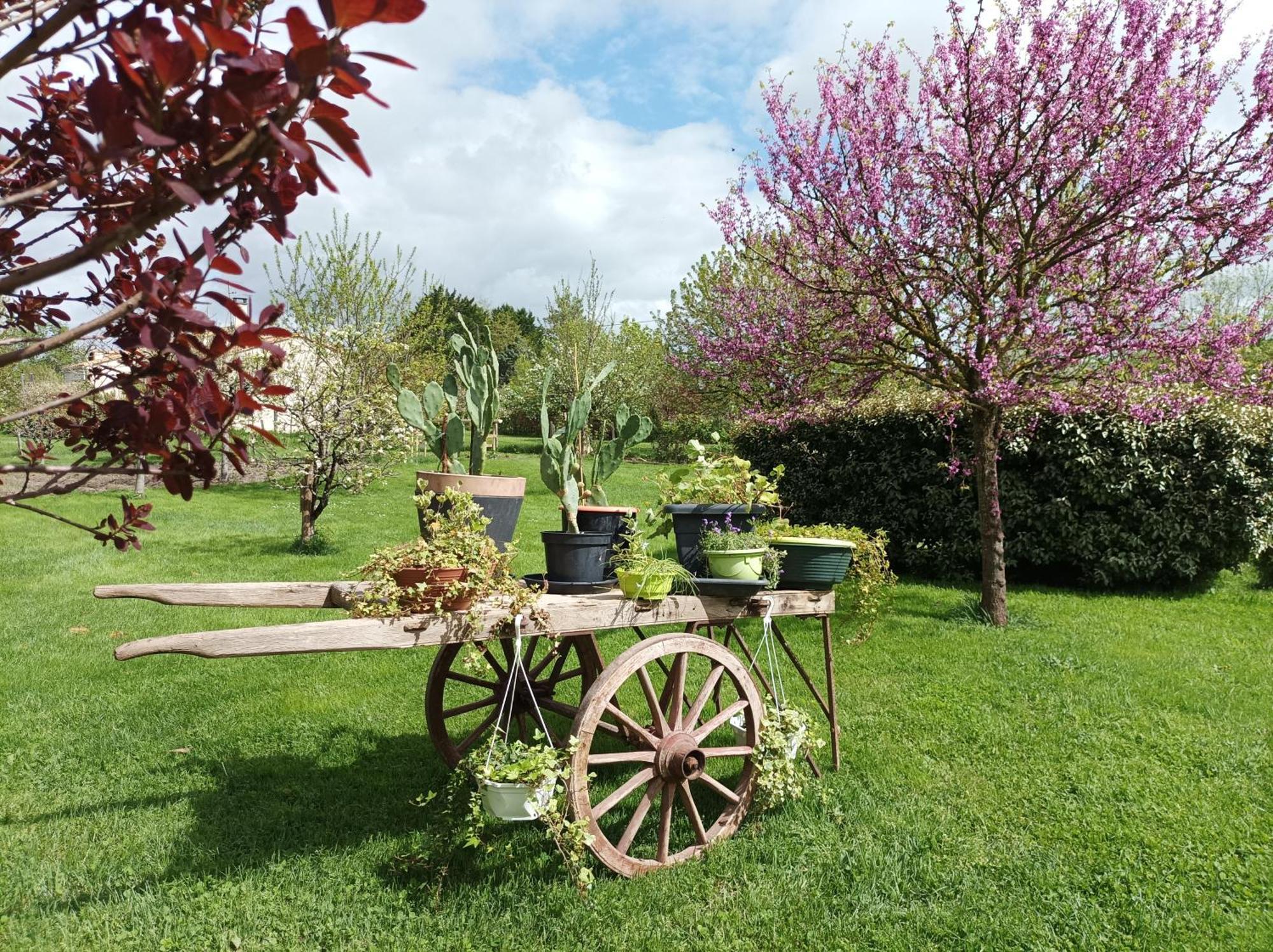 Saint-Hilaire-la-Palud Le Logis De Lange Apt Les Aigrettes מראה חיצוני תמונה