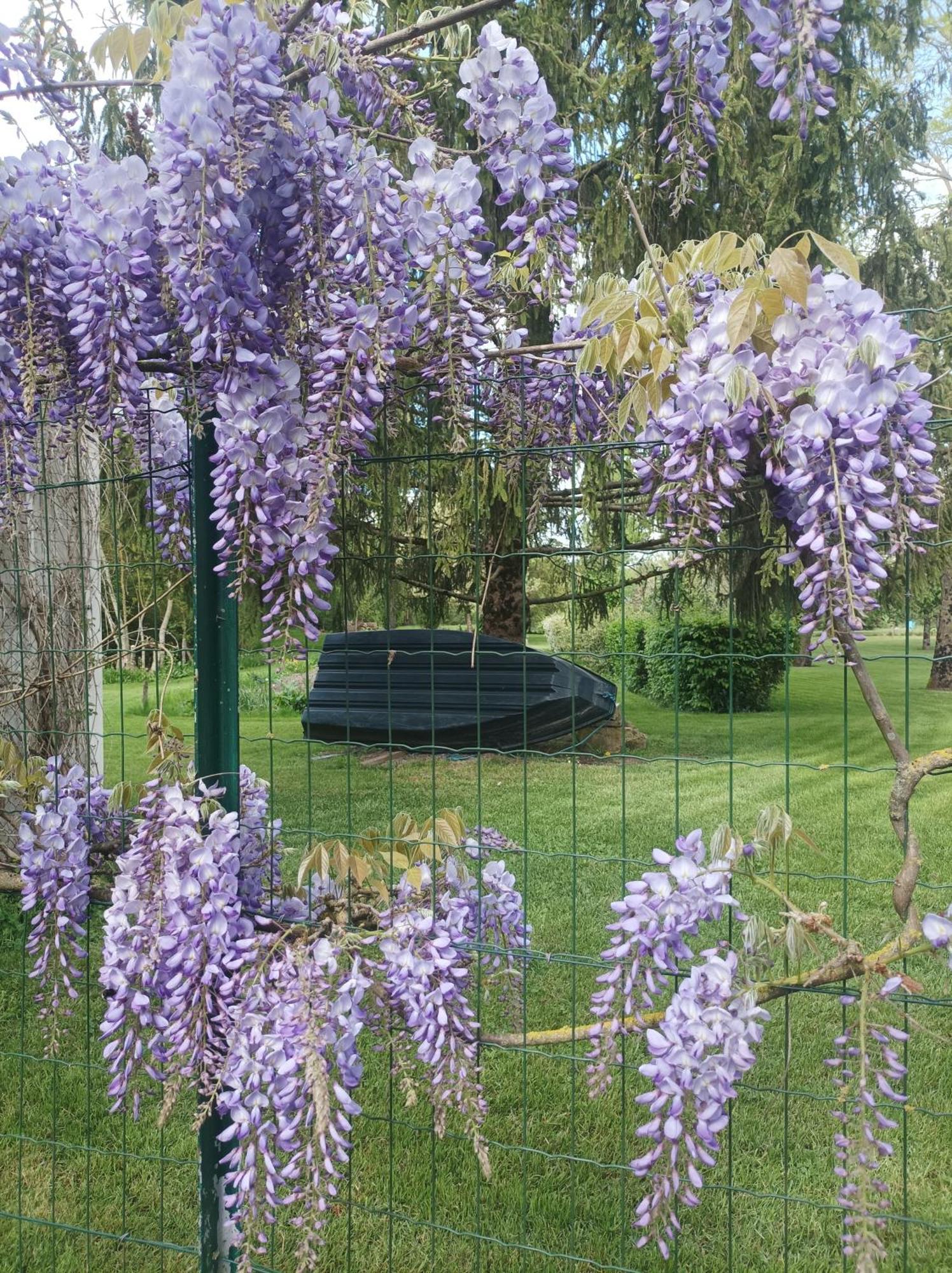 Saint-Hilaire-la-Palud Le Logis De Lange Apt Les Aigrettes מראה חיצוני תמונה